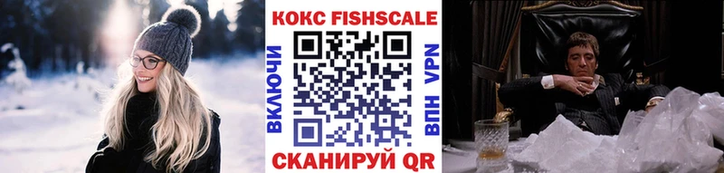 Купить где  Междуреченск  COCAIN FishScale 