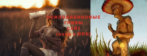 ешки Арсеньев