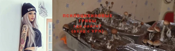 гашик Армянск