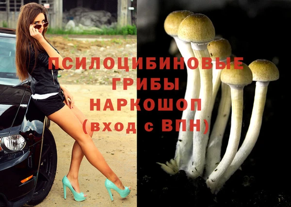 PSILOCYBIN Алзамай