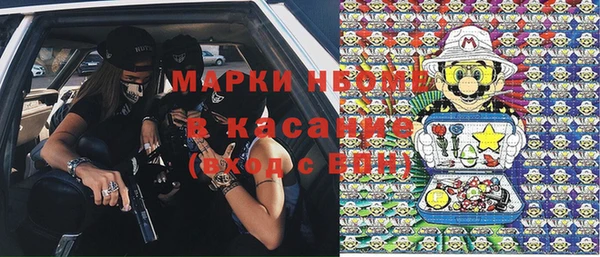 PSILOCYBIN Алзамай